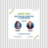 Revisión de la Teoría