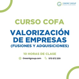 CURSO (COFA): Valorización de Empresas (fusiones y adquisiciones)
